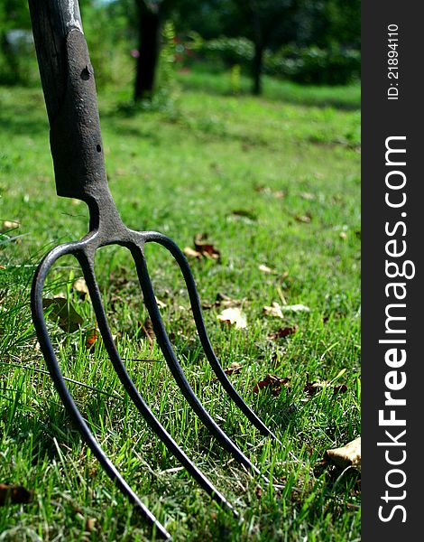 Fork resting in autumn garden