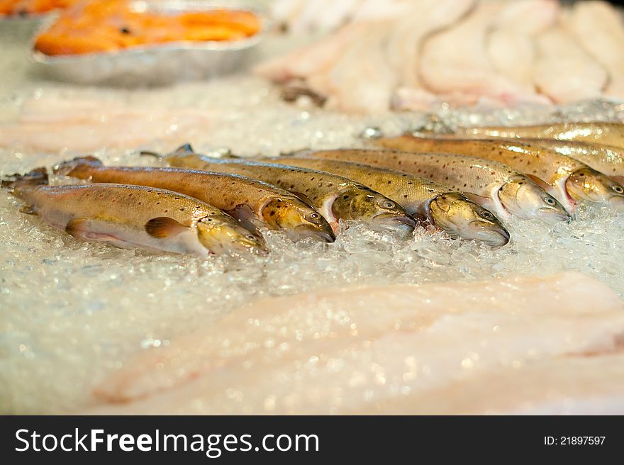 Frozen fish row in a fish market