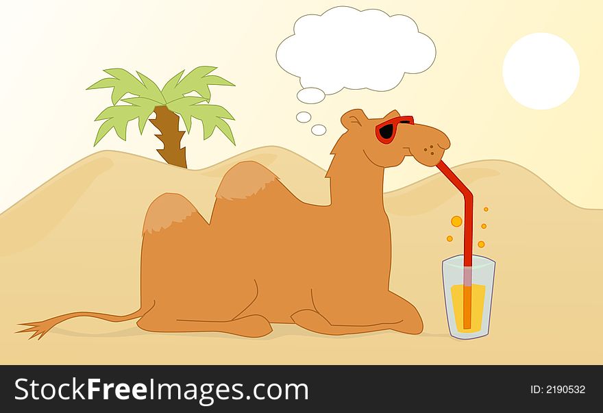 Drinking & Thinking Camel