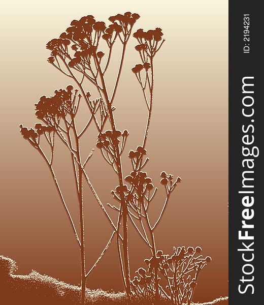 Silhouette of herbs in brown. It is feverfew.