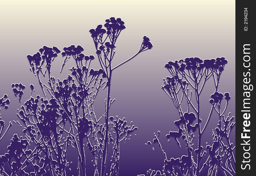 Silhouette of winter herbs ( feverfew ) in violet&yellow. Silhouette of winter herbs ( feverfew ) in violet&yellow