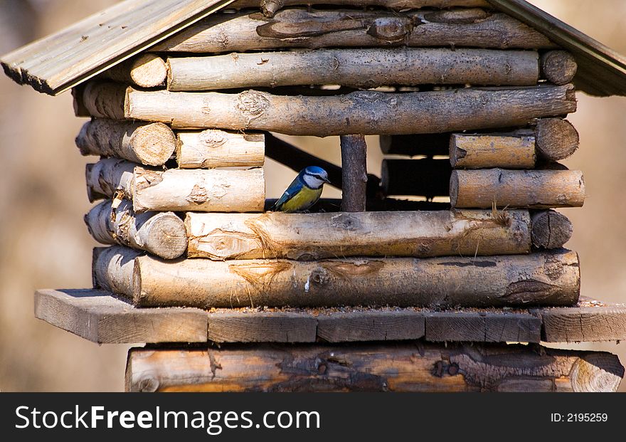 Small house for birds in park in St.-Petersburg