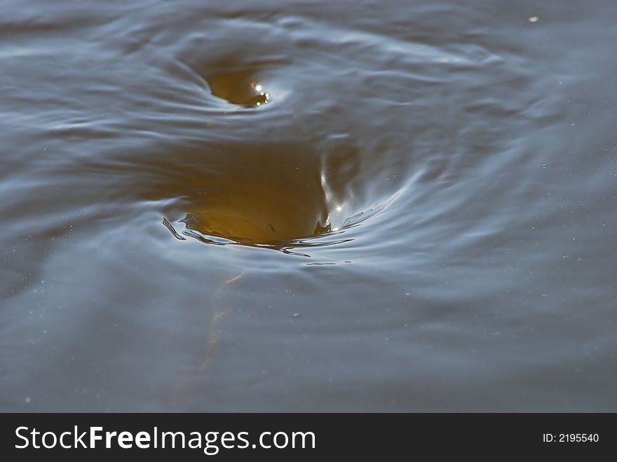 A swirling vortex in water. A swirling vortex in water