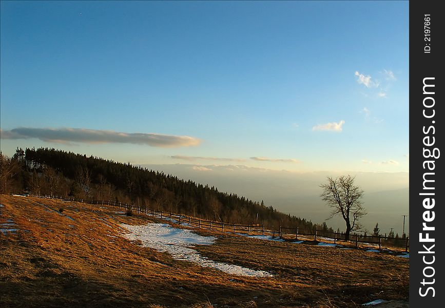 Acre, forest, beautiful sky and a bit of snow. Acre, forest, beautiful sky and a bit of snow