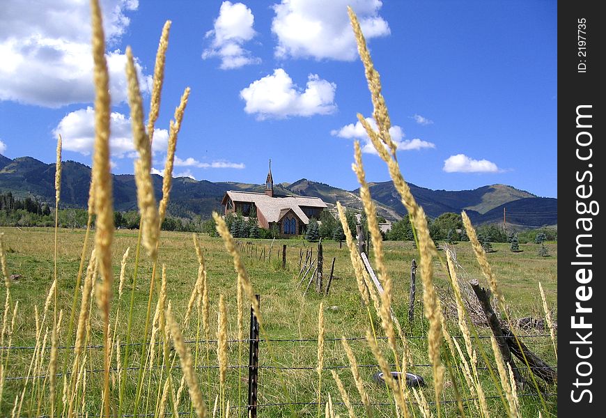 Wheat fields and blue sky on Utah farmland with mountain backdrop