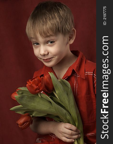 smiling small boy in red shirt with red tulips. smiling small boy in red shirt with red tulips