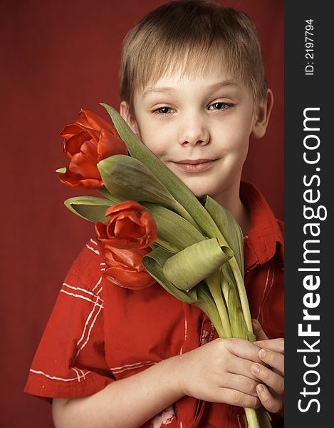 boy in red shirt with red tulips. boy in red shirt with red tulips