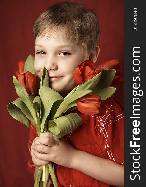 smiling boy with red tulips. smiling boy with red tulips