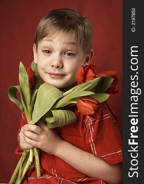 boy in red shirt with red tulips. boy in red shirt with red tulips