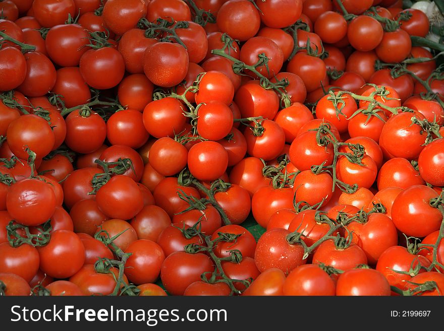 Sunny tomatoes on the background. Sunny tomatoes on the background