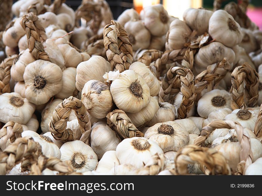 Fresh garlic in bunches