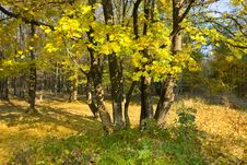 Autumn Landscape Stock Photography Autumn Landscape Stock Photography