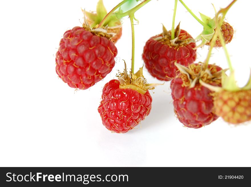 Raspberry isolated on a white background