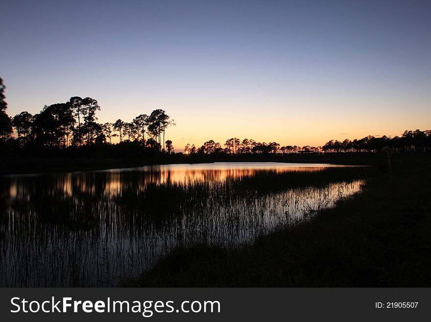 A quiet, marshy swamp scene during the late evening, immediately following the sun setting below the horizon. A quiet, marshy swamp scene during the late evening, immediately following the sun setting below the horizon.