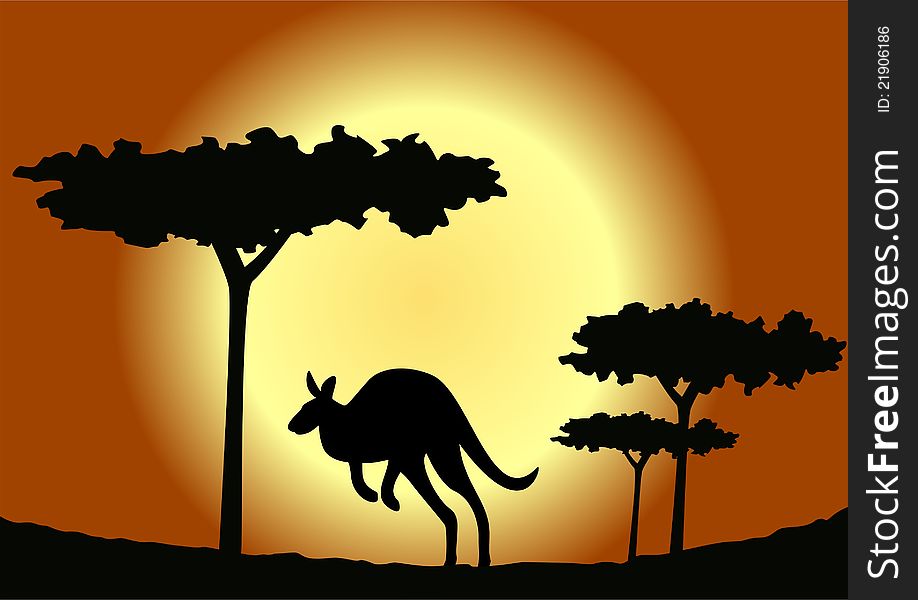 Against the backdrop of the setting sun bounces kangaroo. Against the backdrop of the setting sun bounces kangaroo