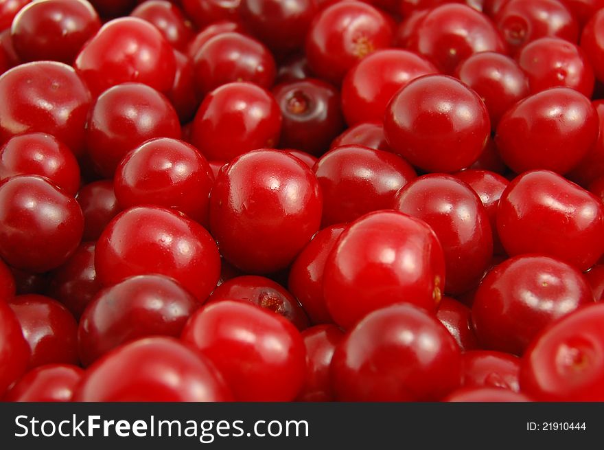 Fresh Ripe Cherries Close up