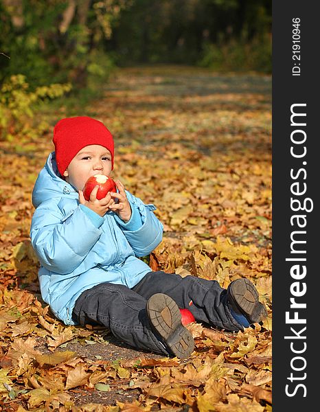 Little boy with big red apple sitting on the autumn leaves. Little boy with big red apple sitting on the autumn leaves