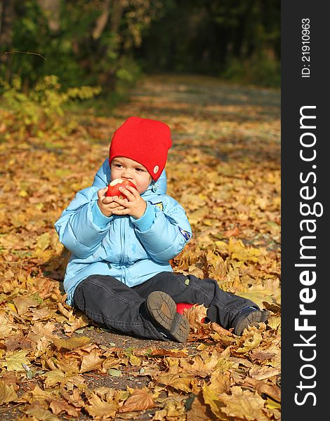 Little boy with big red apple sitting on the autumn leaves. Little boy with big red apple sitting on the autumn leaves