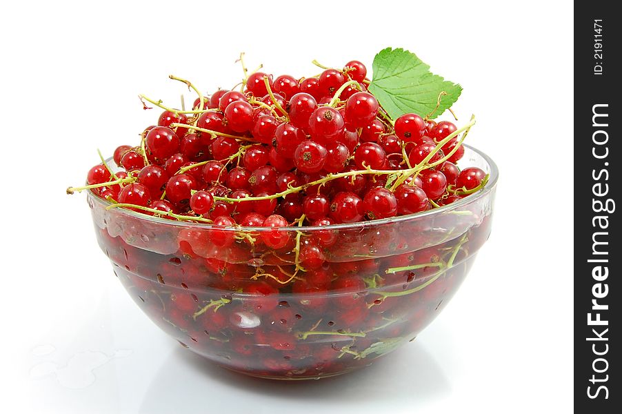 Isolated red currant in a bowl