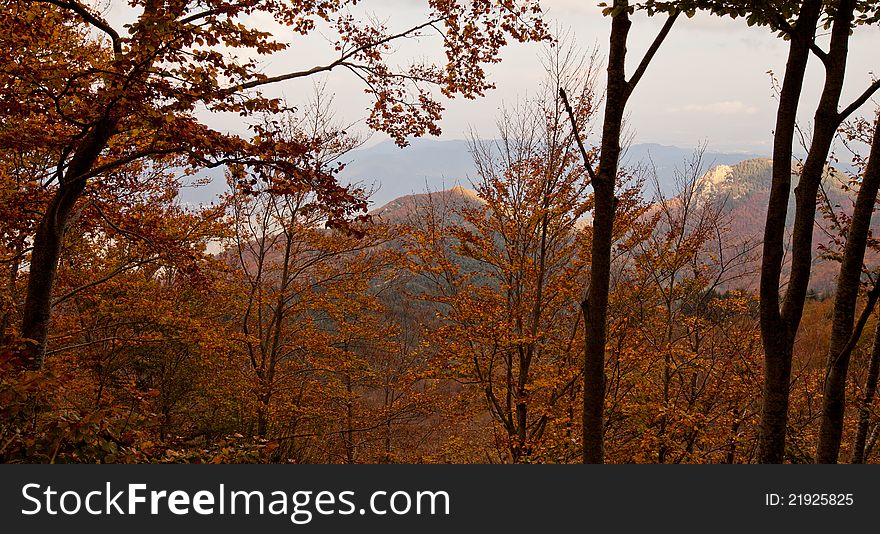 At the Montseny nature park in northeast Spain, the beginning fall shows the reddish and orange colors of the trees leaving an open window to the far mountains. At the Montseny nature park in northeast Spain, the beginning fall shows the reddish and orange colors of the trees leaving an open window to the far mountains.