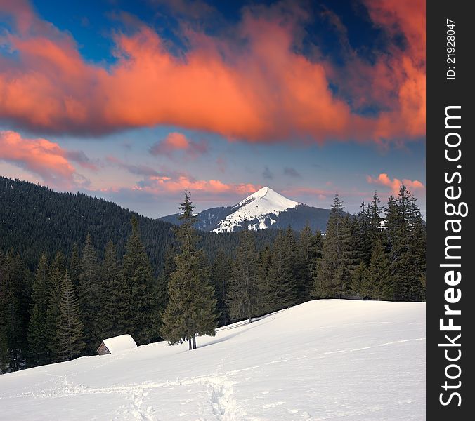 Spring landscape in mountains on a decline of day. Ukraine, mountains Carpathians