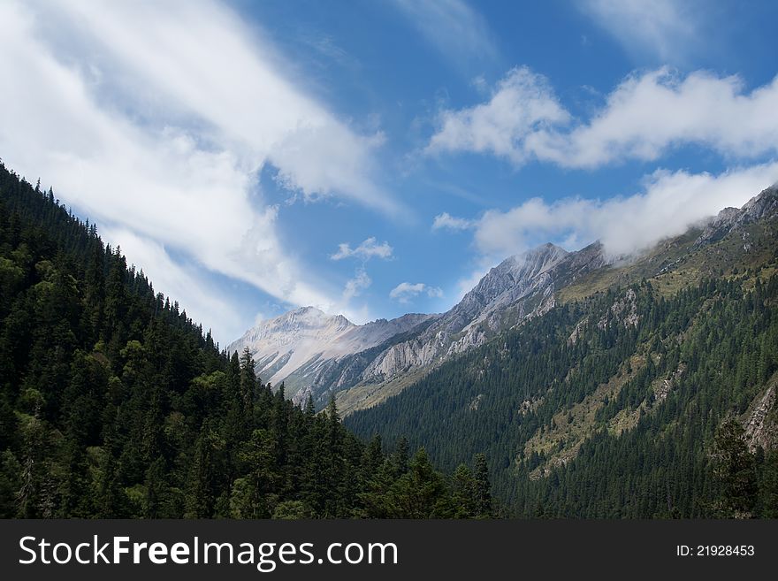 The blue of the sky,The trees grow in the mountains. The blue of the sky,The trees grow in the mountains