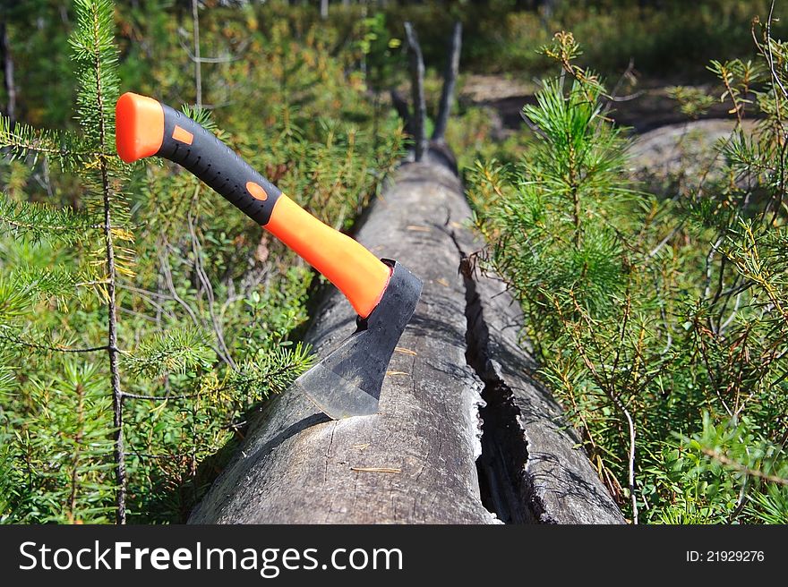 Single axe with orange handle in old tree trunk against the forest. Single axe with orange handle in old tree trunk against the forest.
