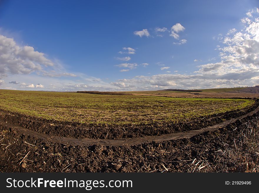 Plowed field.