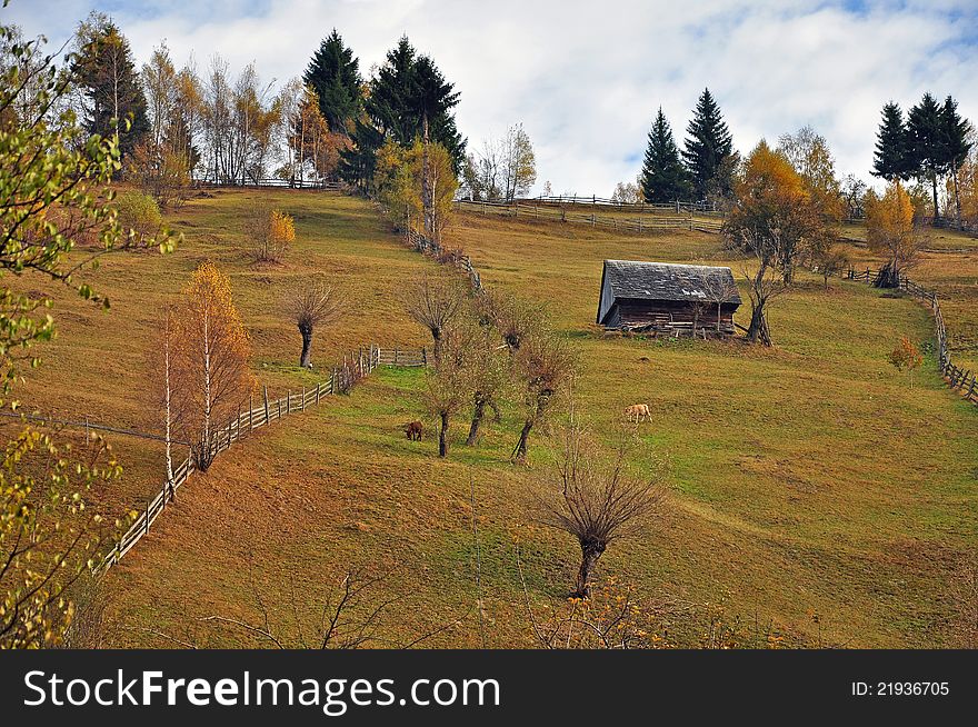 Wooden fence bounding land properties on sunny hill near alpine forest in autumn time. Wooden fence bounding land properties on sunny hill near alpine forest in autumn time
