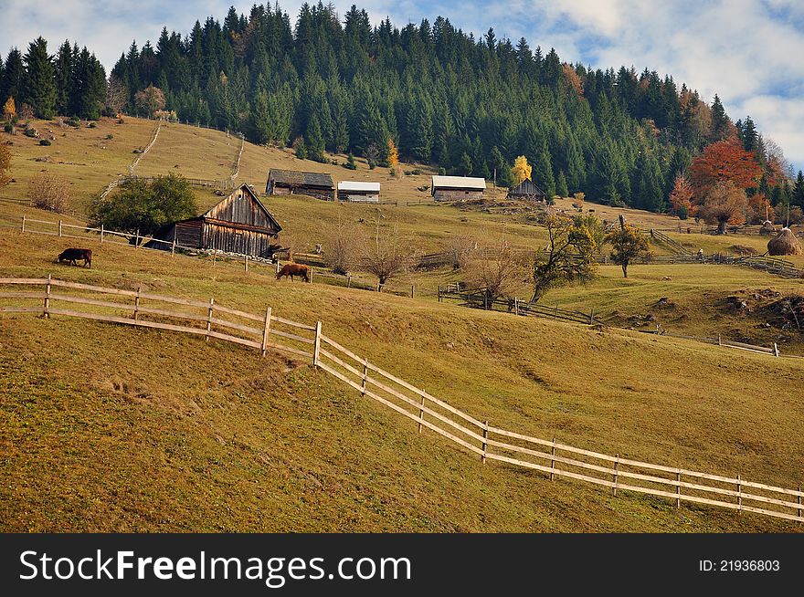 Rural accommodation in mountain cottage near cow farm. Rural accommodation in mountain cottage near cow farm