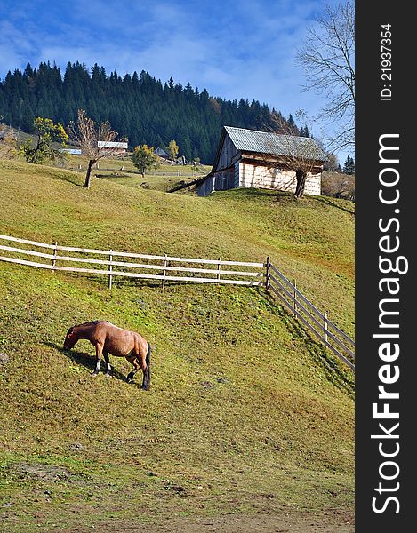 Horse on green hill with wooden fence and cottage. Horse on green hill with wooden fence and cottage