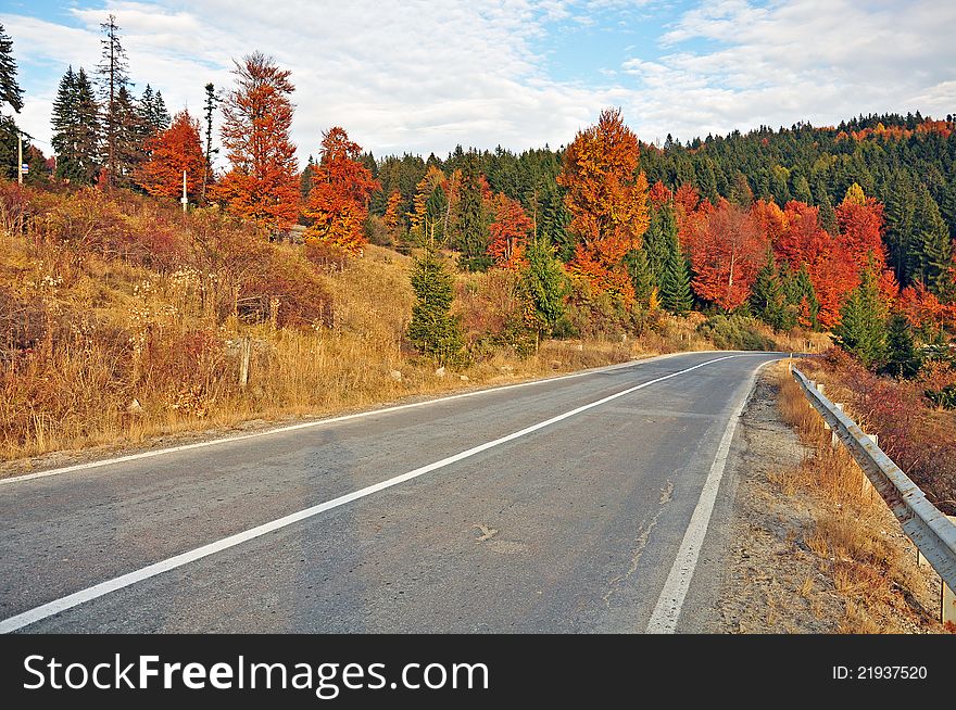 Autumnal road traffic