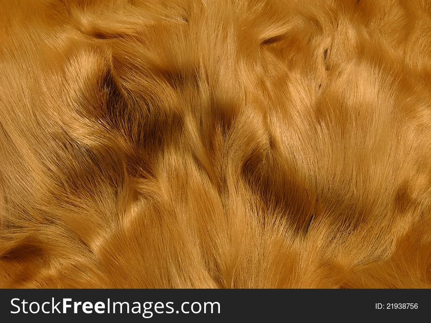 Prepared macro texture of animal fur. Prepared macro texture of animal fur