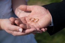 Wedding Rings Stock Images