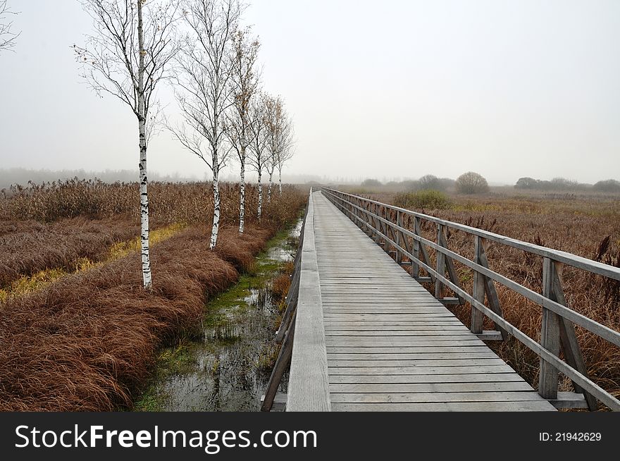 Wooden pathway straight forward into foggy background