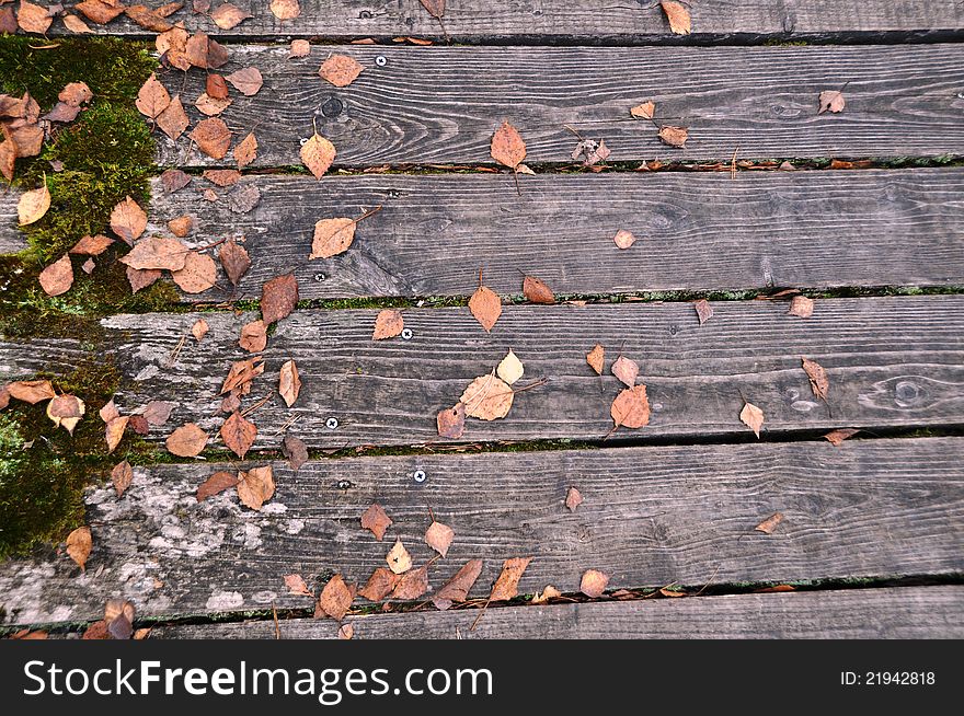 Wooden bridge with autumn leaves and moss