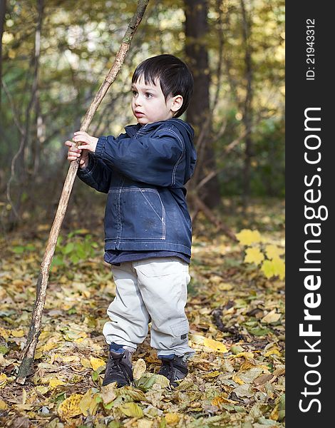Small child boy playing with a stick in an autumn forest. Small child boy playing with a stick in an autumn forest.