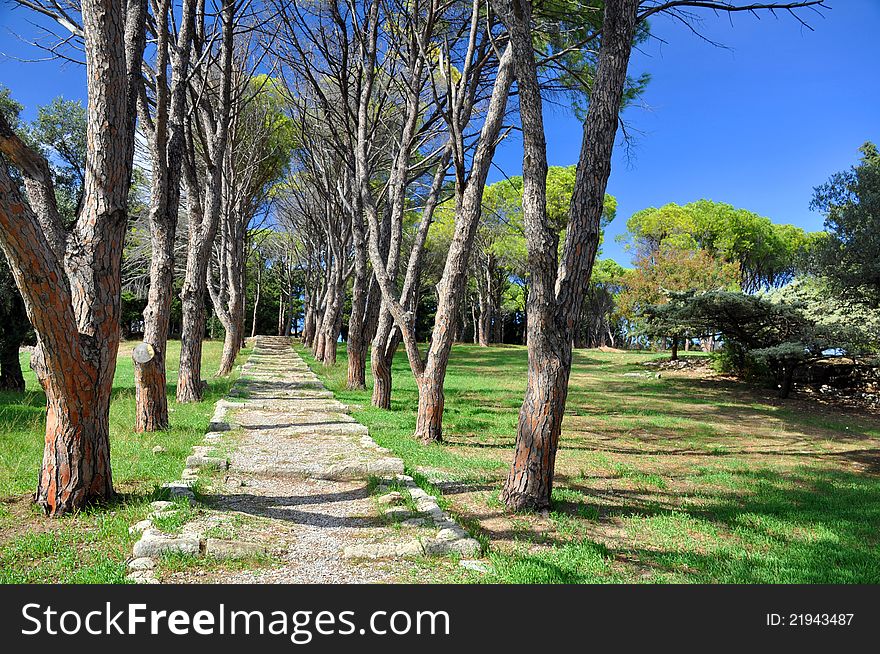 This path is at the ancient monastery of ialyssos on the island of rhodes, greece. This path is at the ancient monastery of ialyssos on the island of rhodes, greece