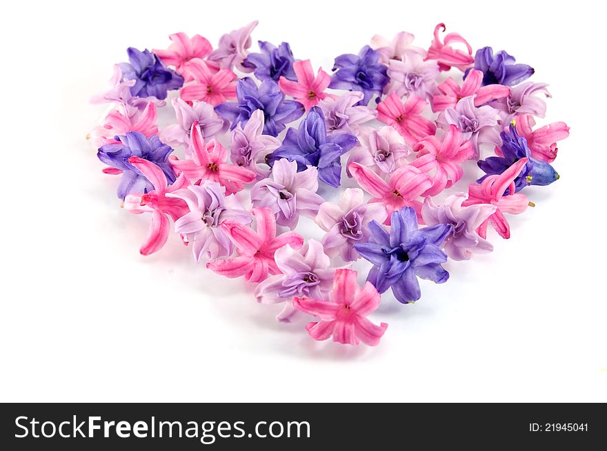 Pink flowers in a shape of a heart