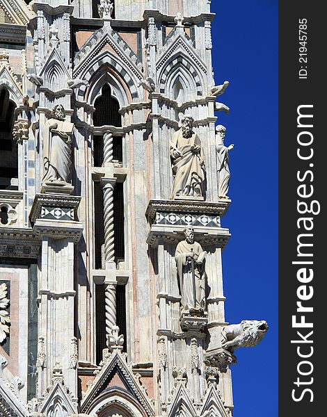 A view of fasade of Cathedral in Siena. A view of fasade of Cathedral in Siena