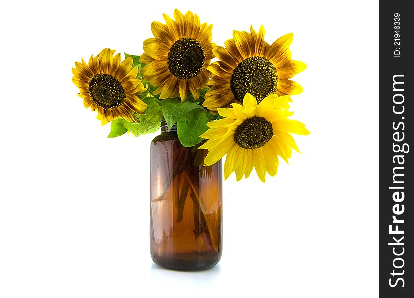 Bouquet of Sunflowers in vase