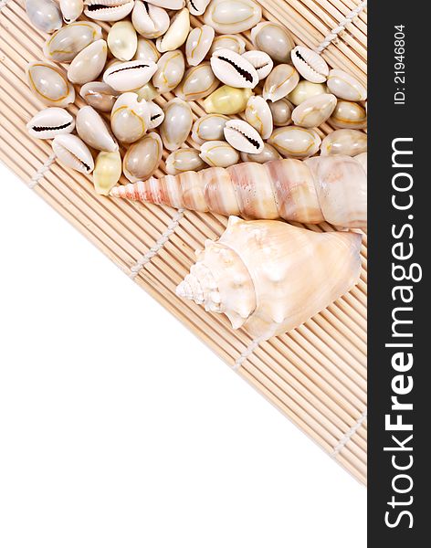 Small And Larger Seashells On Bamboo Mat