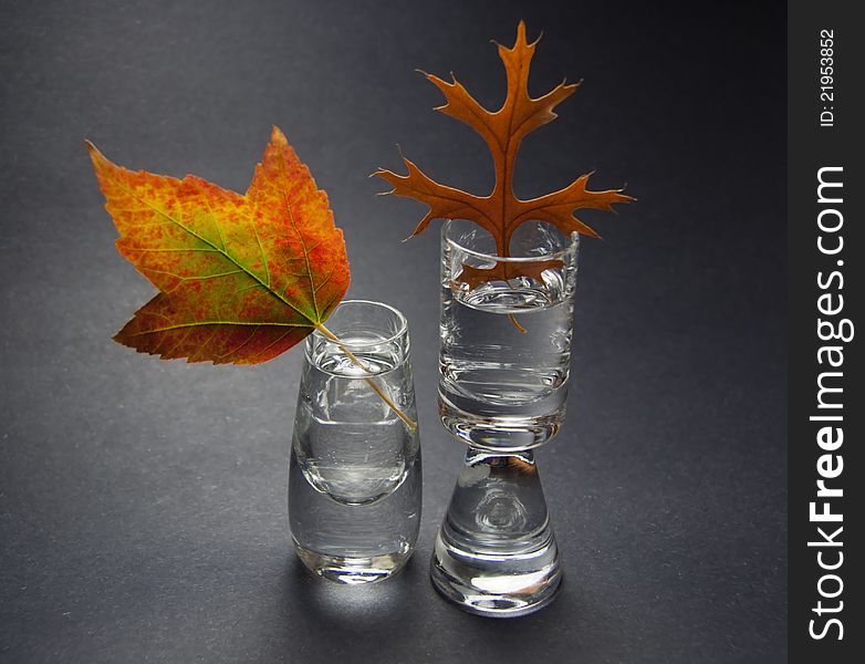 Still life with two autumn leaves in small crystal vases on gray background. Still life with two autumn leaves in small crystal vases on gray background