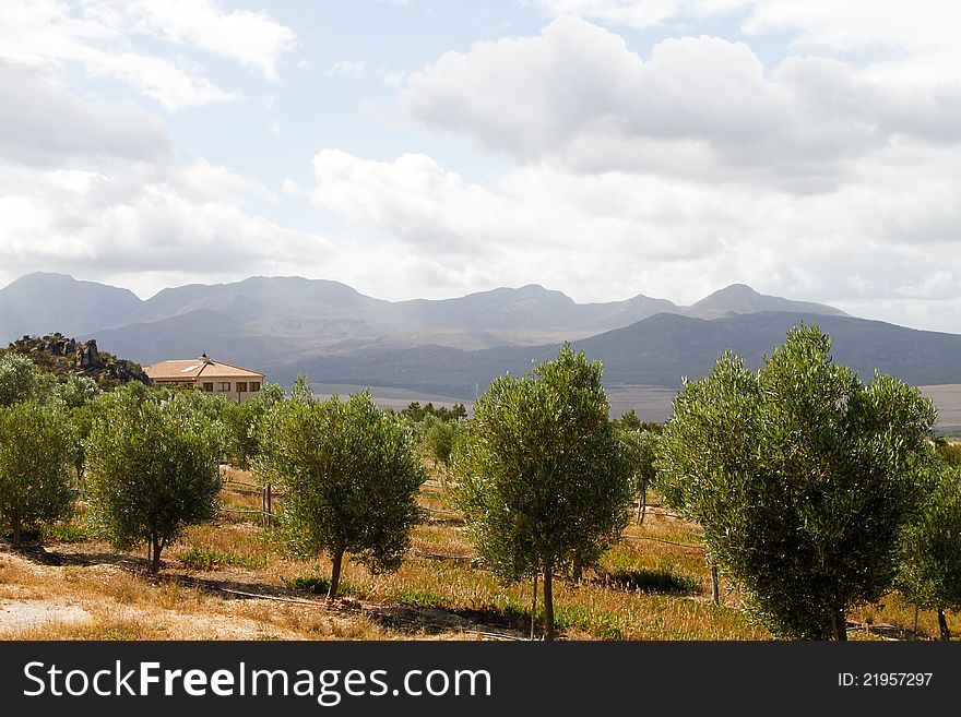 Summer country villa home with mountains landscape and olive trees view. Summer country villa home with mountains landscape and olive trees view