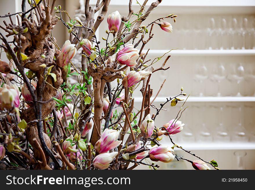 Flowers decoration and shelf with glass