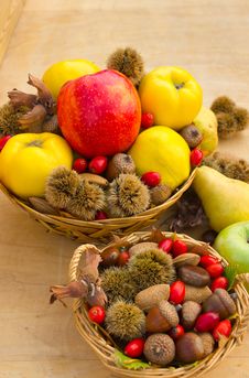 Fall Arrangement Stock Photos Fall Arrangement Stock Photos