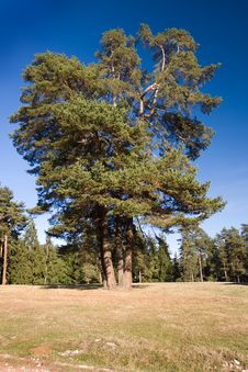 Beautiful Landscape Stock Image Beautiful Landscape Stock Image