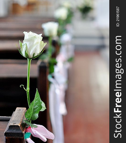 A rose on a bench in a wedding day. A rose on a bench in a wedding day