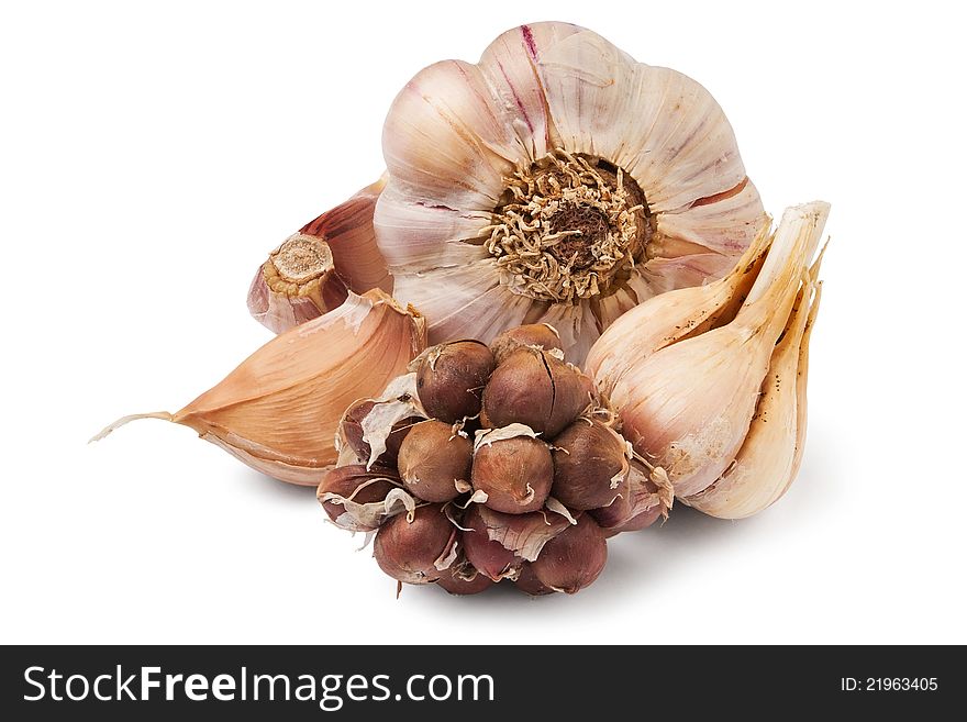 Various garlics against white background