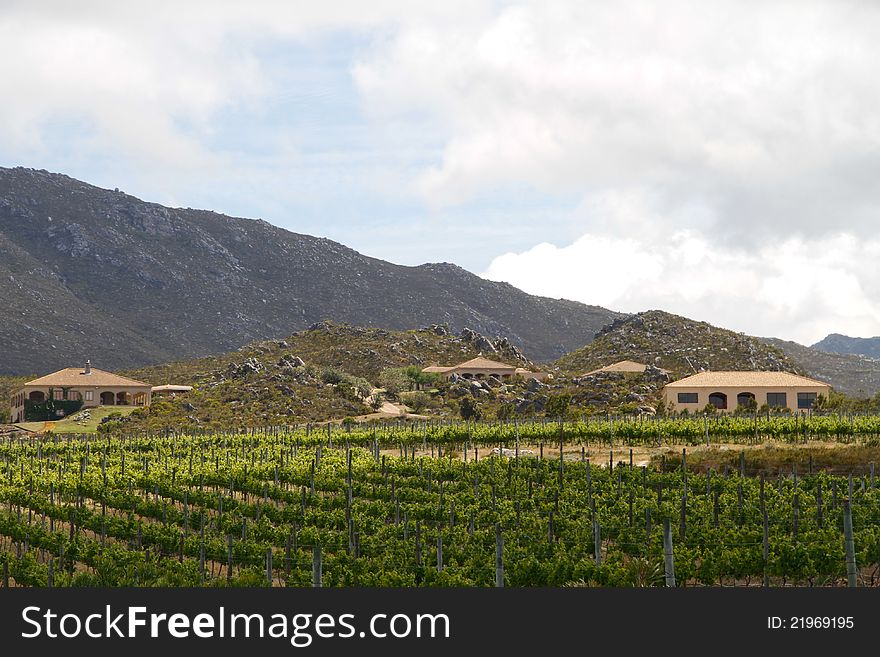 Summer country villas with mountains landscape and vineyards. Summer country villas with mountains landscape and vineyards